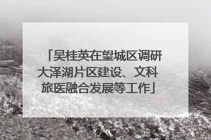 吴桂英在望城区调研大泽湖片区建设、文科旅医融合发展等工作