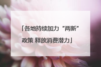各地持续加力“两新”政策 释放消费潜力