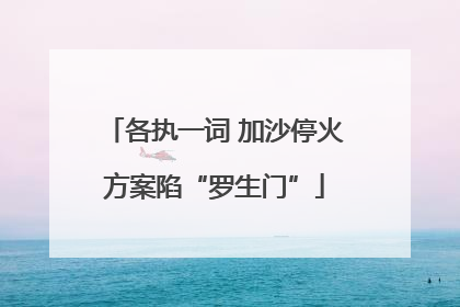 各执一词 加沙停火方案陷“罗生门”