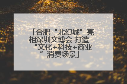 合肥“北幻城”亮相深圳文博会 打造“文化+科技+商业”消费场景