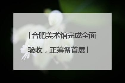合肥美术馆完成全面验收，正筹备首展