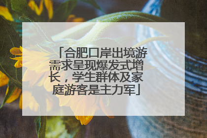 合肥口岸出境游需求呈现爆发式增长，学生群体及家庭游客是主力军