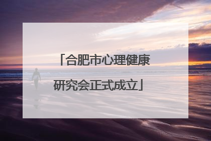 合肥市心理健康研究会正式成立