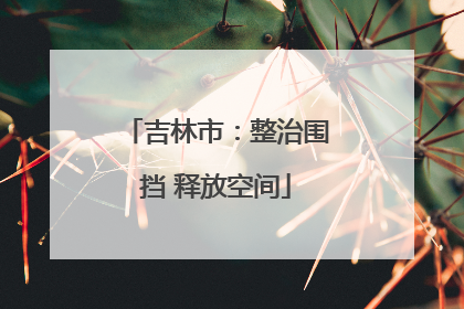 吉林市：整治围挡 释放空间