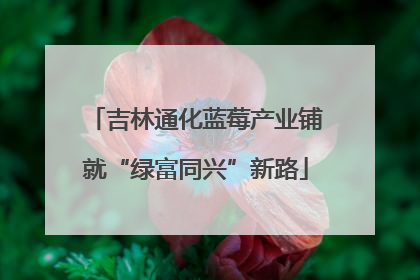 吉林通化蓝莓产业铺就“绿富同兴”新路