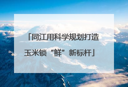 同江用科学规划打造玉米锁“鲜”新标杆
