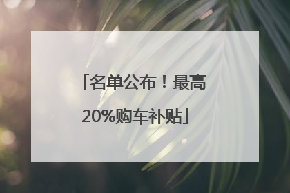 名单公布！最高20%购车补贴
