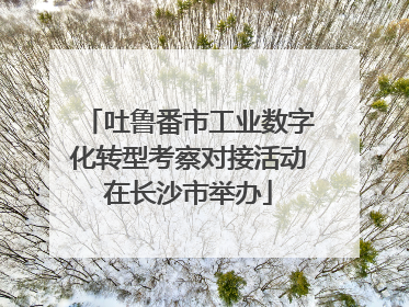 吐鲁番市工业数字化转型考察对接活动在长沙市举办
