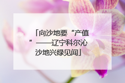 向沙地要“产值”——辽宁科尔沁沙地兴绿见闻