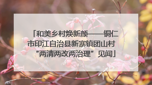 和美乡村焕新颜——铜仁市印江自治县新寨镇团山村“两清两改两治理”见闻