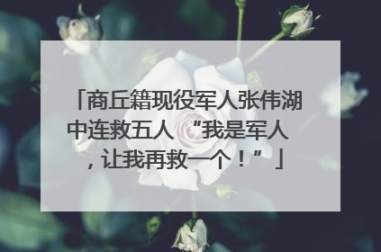 商丘籍现役军人张伟湖中连救五人 “我是军人，让我再救一个！”