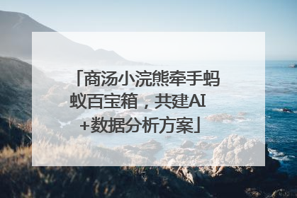 商汤小浣熊牵手蚂蚁百宝箱，共建AI+数据分析方案