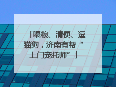 喂粮、清便、逗猫狗，济南有帮“上门宠托师”