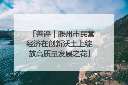 善评｜滕州市民营经济在创新沃土上绽放高质量发展之花