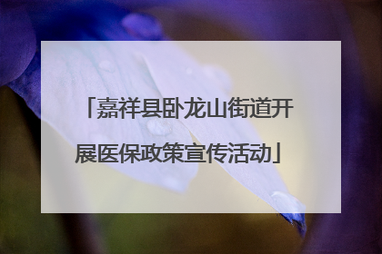 嘉祥县卧龙山街道开展医保政策宣传活动