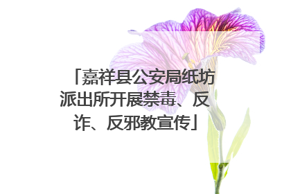 嘉祥县公安局纸坊派出所开展禁毒、反诈、反邪教宣传