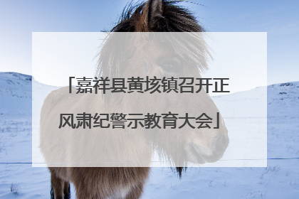 嘉祥县黄垓镇召开正风肃纪警示教育大会