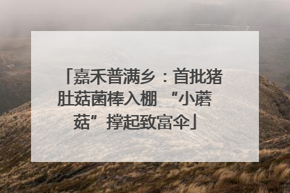 嘉禾普满乡：首批猪肚菇菌棒入棚 “小蘑菇”撑起致富伞
