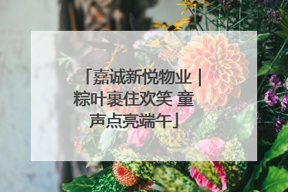 嘉诚新悦物业｜粽叶裹住欢笑 童声点亮端午