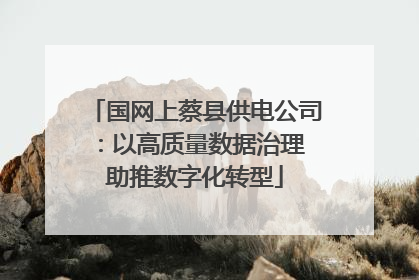 国网上蔡县供电公司：以高质量数据治理 助推数字化转型