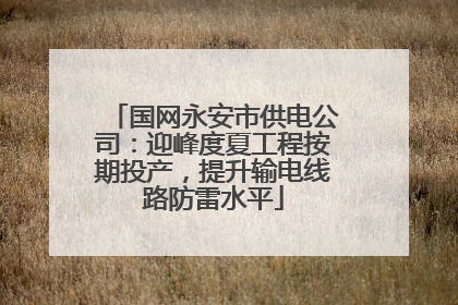 国网永安市供电公司：迎峰度夏工程按期投产，提升输电线路防雷水平