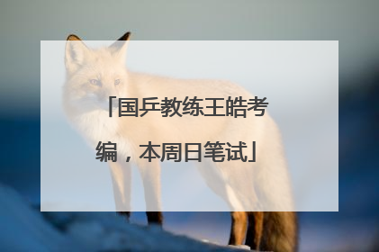 国乒教练王皓考编，本周日笔试