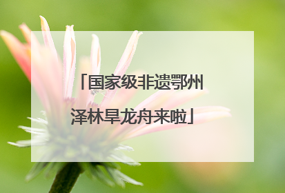 国家级非遗鄂州泽林旱龙舟来啦