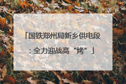 国铁郑州局新乡供电段：全力迎战高“烤”