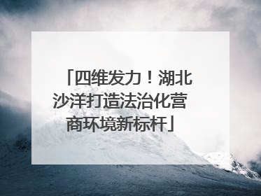 四维发力！湖北沙洋打造法治化营商环境新标杆