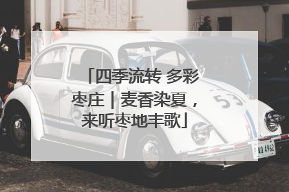 四季流转 多彩枣庄｜麦香染夏，来听枣地丰歌