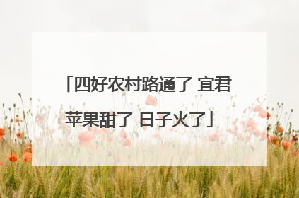 四好农村路通了 宜君苹果甜了 日子火了