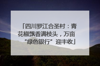 四川罗江合圣村：青花椒飘香满枝头，万亩“绿色银行”迎丰收