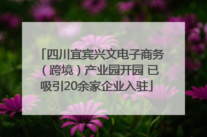 四川宜宾兴文电子商务（跨境）产业园开园 已吸引20余家企业入驻