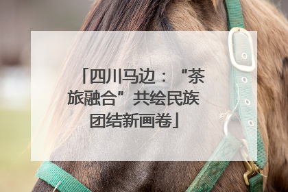 四川马边：“茶旅融合”共绘民族团结新画卷