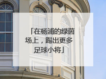 在杨浦的绿茵场上，踢出更多足球小将