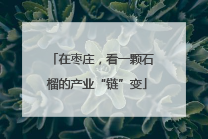 在枣庄，看一颗石榴的产业“链”变