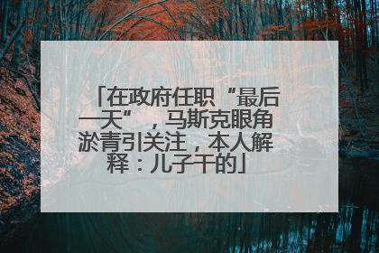 在政府任职“最后一天”，马斯克眼角淤青引关注，本人解释：儿子干的