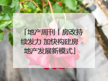地产周刊丨房改持续发力 加快构建房地产发展新模式