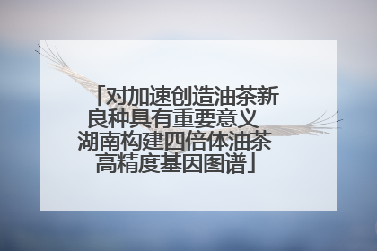 对加速创造油茶新良种具有重要意义 湖南构建四倍体油茶高精度基因图谱