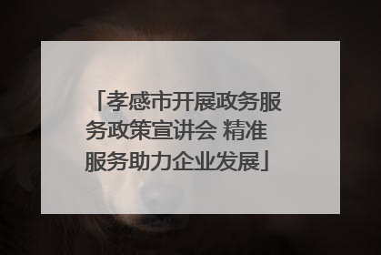 孝感市开展政务服务政策宣讲会 精准服务助力企业发展