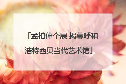 孟柏伸个展 揭幕呼和浩特西贝当代艺术馆