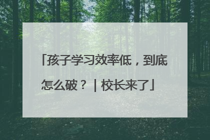 孩子学习效率低，到底怎么破？｜校长来了