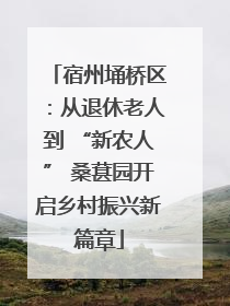 宿州埇桥区：从退休老人到 “新农人” 桑葚园开启乡村振兴新篇章