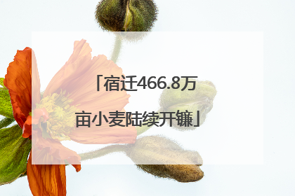 宿迁466.8万亩小麦陆续开镰