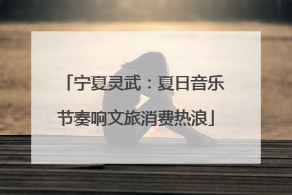 宁夏灵武：夏日音乐节奏响文旅消费热浪