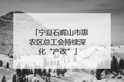 宁夏石嘴山市惠农区总工会持续深化“产改”