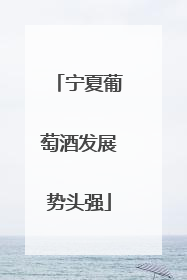 宁夏葡萄酒发展势头强