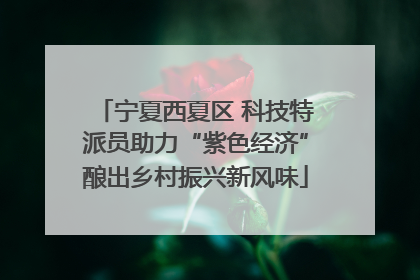 宁夏西夏区 科技特派员助力“紫色经济”酿出乡村振兴新风味