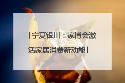 宁夏银川：家博会激活家居消费新动能
