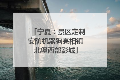 宁夏：景区定制安防机器狗亮相镇北堡西部影城